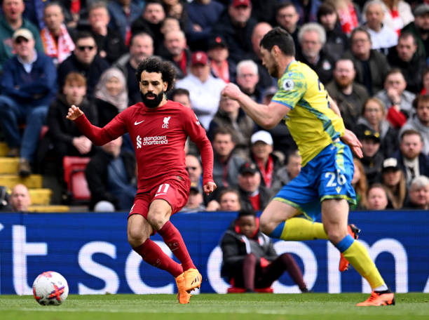 切尔西所展 切尔西所展