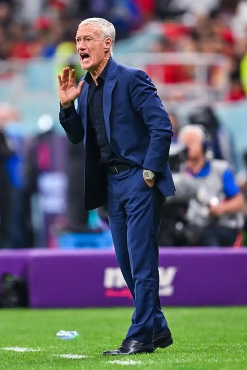 带领我狐两 带领我狐两